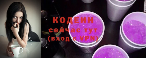 индика Волосово